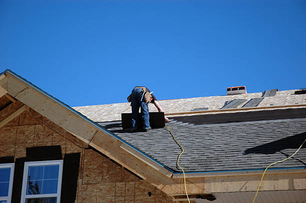 Roof Moss and Algae Removal in Calhoun Falls, SC