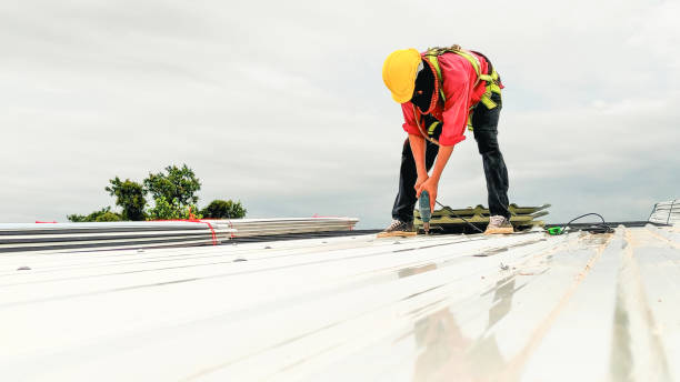 Best Roof Moss and Algae Removal  in Calhoun Falls, SC